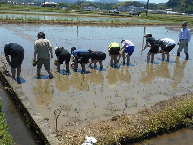 活動の様子5