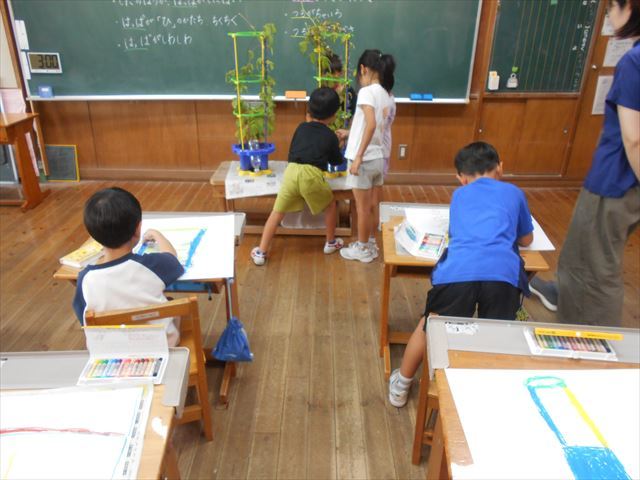 １年生の活動の２
