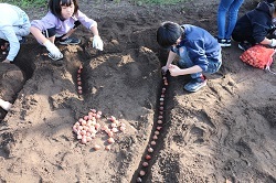文字をかたどって球根を植える児童の写真