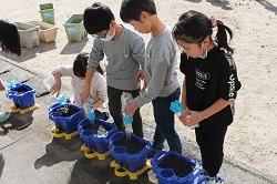 水やりをする児童の写真