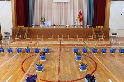 入学式の式場の写真1