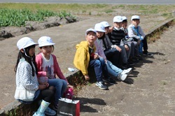 チューリップ畑の脇に座る児童の写真