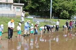 田植えをする児童と地域の方の写真