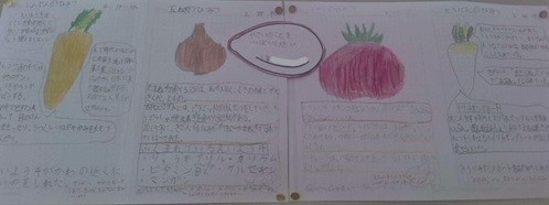 野菜についての研究の写真です。