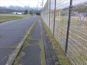 学校周辺の歩道がきれいになっている様子です。