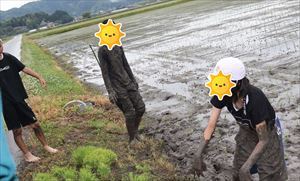 田んぼと児童の様子です。