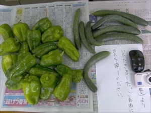 いただいた野菜です。