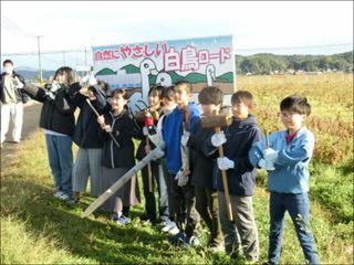 白鳥看板を立てた６年生たち