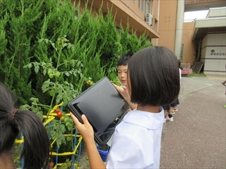 上手に撮っています