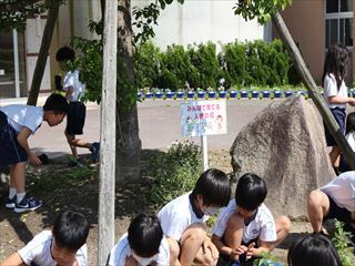 人権の花運動の看板も立ててあります。