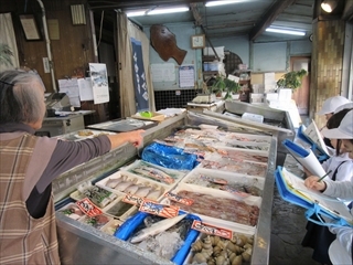 魚屋さんの見学の様子