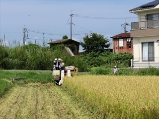 コンバインによる稲刈りの様子も見せていただきました