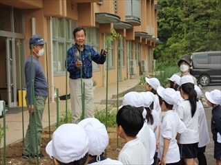 苗植えの仕方を教わっています。