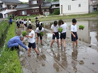 地域の方におそわっています。