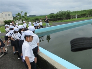 濾過池を見ています