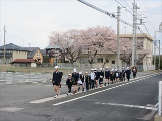 きれいに並んで歩いています。