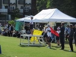緑組の決意表明です