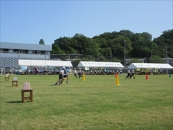 3.4年の種目です