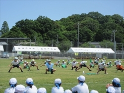 ポーズが決まっています