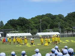 隊形が決まっています