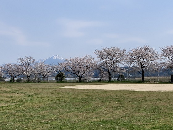 大山を望む春の校庭の写真