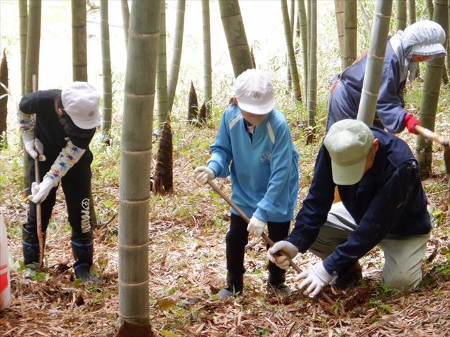たけのこ堀りに挑戦