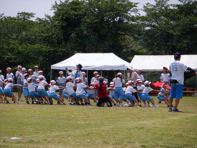 低学年綱引きの一コマ