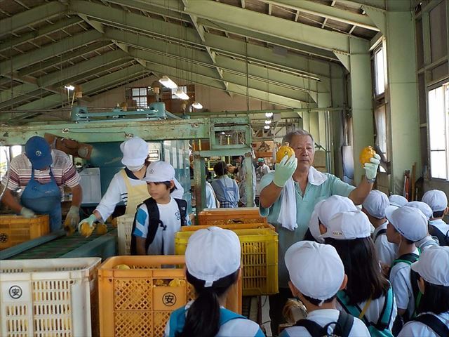 選果場の様子を見学する3年生