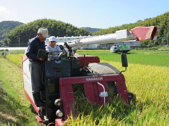 コンバインに一人ずつ乗せてもらいました