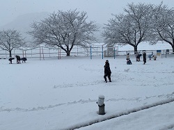 校庭で雪遊びをする児童の写真2