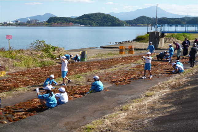 「オゴノリ」の乾燥作業体験の様子