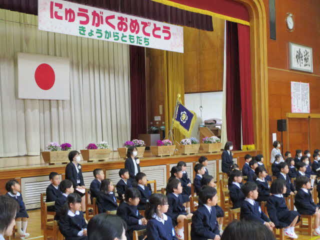 １年生です。