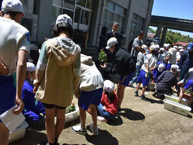 栽培活動