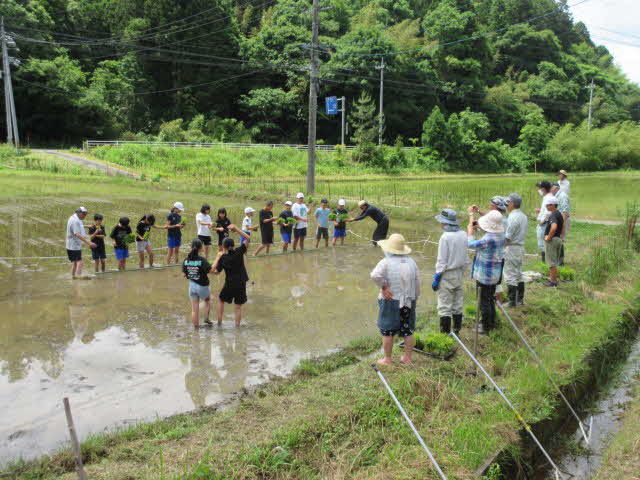 taue2
