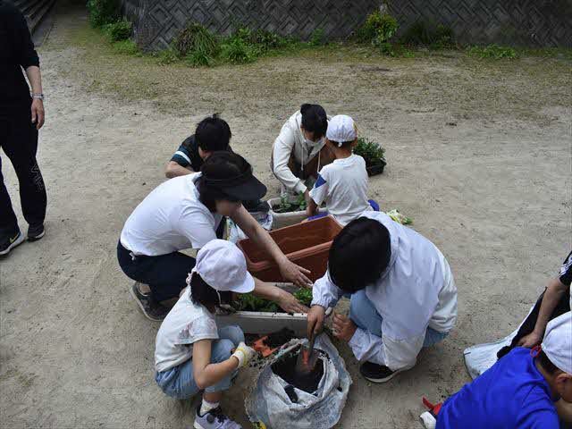 人権の花苗植え1