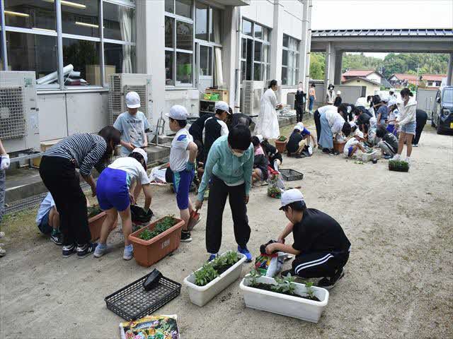 人権の花苗植え2