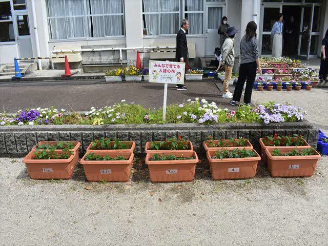 人権の花苗植え3