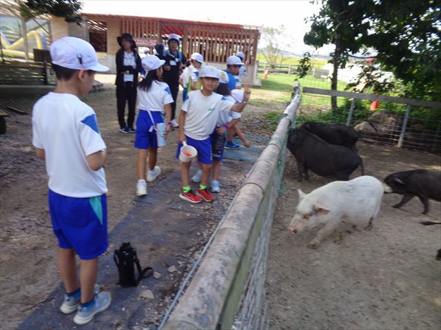 R7遠足（徒歩）