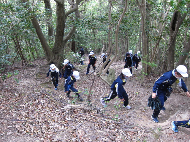 要害山への登山道の様子です。