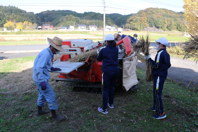 脱穀作業の体験