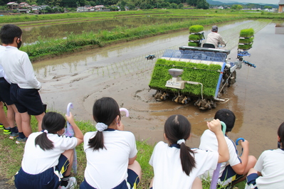 田植え機での田植えの様子を見学しています。