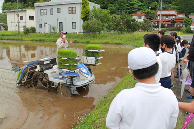 田植えのやり方や難しいところを質問しています。