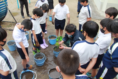 バケツに土と水を入れてかき混ぜた後、苗を植えます。まず説明を聞いています。