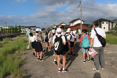 斐川町の旧海軍大社基地の滑走路跡