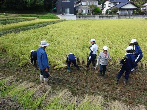 こつはつかみました