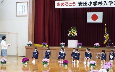 入学01