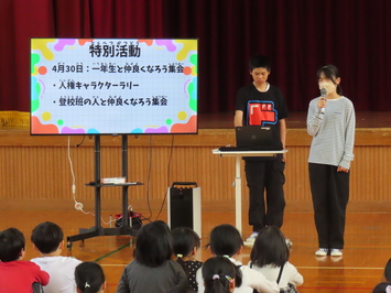 活動の紹介