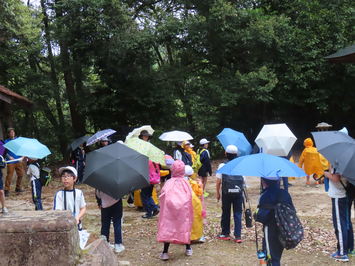 雨がぽつぽつ