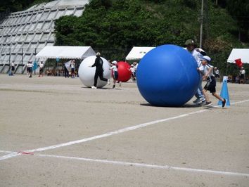 大玉転がし