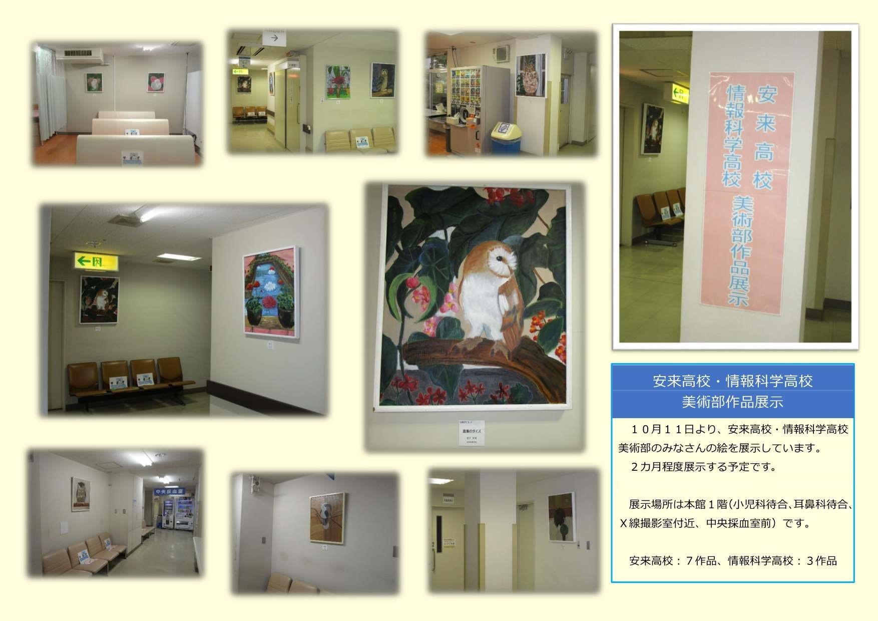 展示写真
